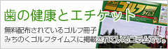 �S���t�R����